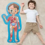 ⁦Hape Human Body Puzzle⁩ – תמונה ⁦2⁩