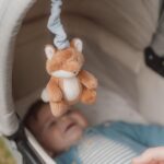 ⁦Pull and Shake Fox⁩ – תמונה ⁦4⁩