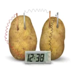 ⁦4M   Green Science   Potato Clock⁩ – תמונה ⁦2⁩
