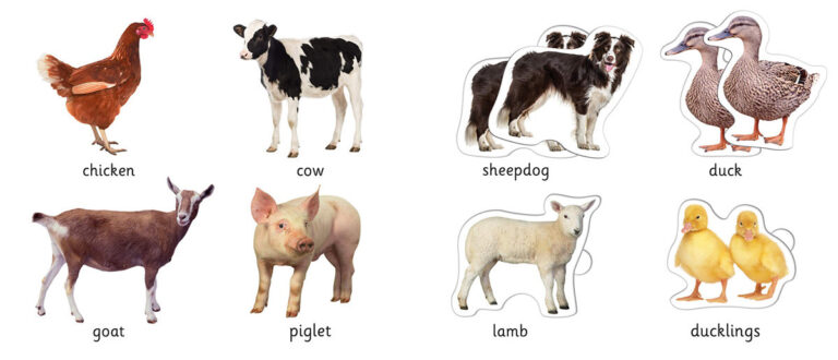 Fd8ded 4b0a426f538344c8a82d73d97d572e75mv2 768x330