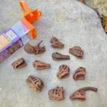 ⁦Dinosaur Skulls TOOB® Toy⁩ – תמונה ⁦3⁩