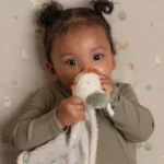 ⁦بطانية الحضن  الدجاجة⁩   الصورة ⁦3⁩