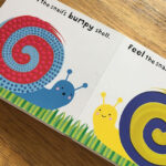 ⁦كتاب اللمس⁩   الصورة ⁦4⁩