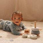 ⁦برج الحلقات | ثعلب⁩   الصورة ⁦2⁩
