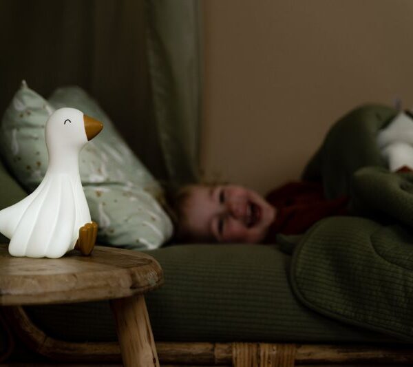 مصباح الإوزة الصغيرة