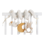 ⁦حلزونة الإوزة الحسيّة⁩   الصورة ⁦3⁩