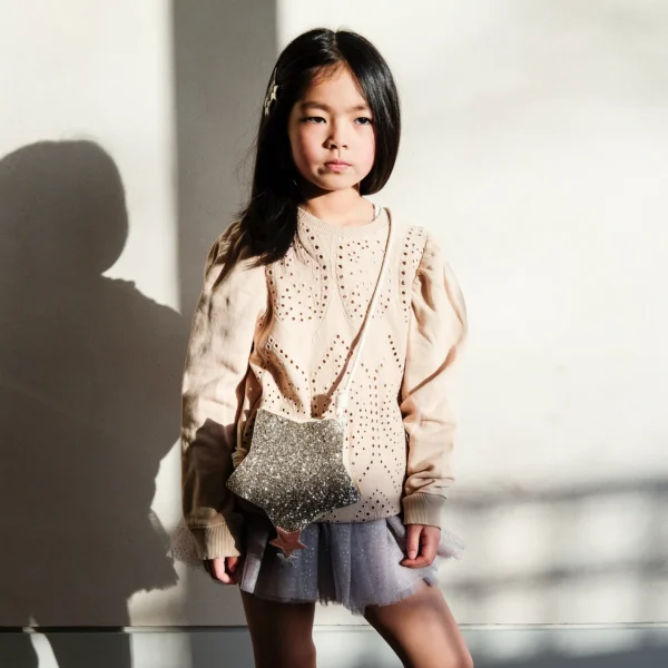 حقيبة النجمة