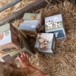 ⁦برج الأرقام – حديقة المزرعة⁩   الصورة ⁦8⁩